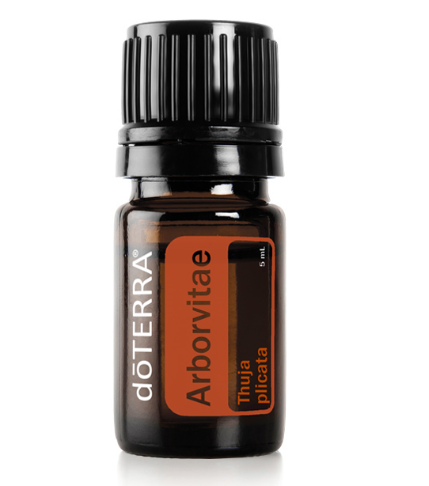 Arborvitae Essentail Oil