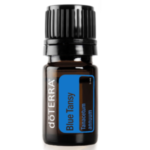 Blue Tansy Essentail Oil
