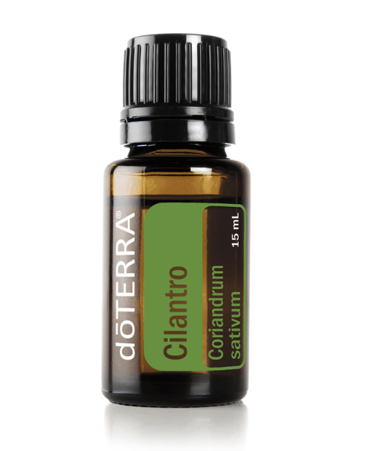 Cilantro Essentail Oil