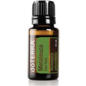 Melaleuca (Tea Tree) Essential Oil