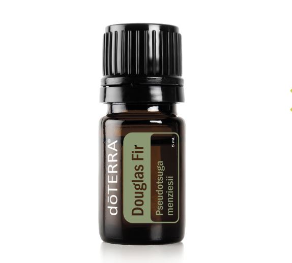 Douglas Fir Essential Oil