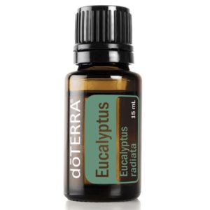 Eucalyptus Essential Oil