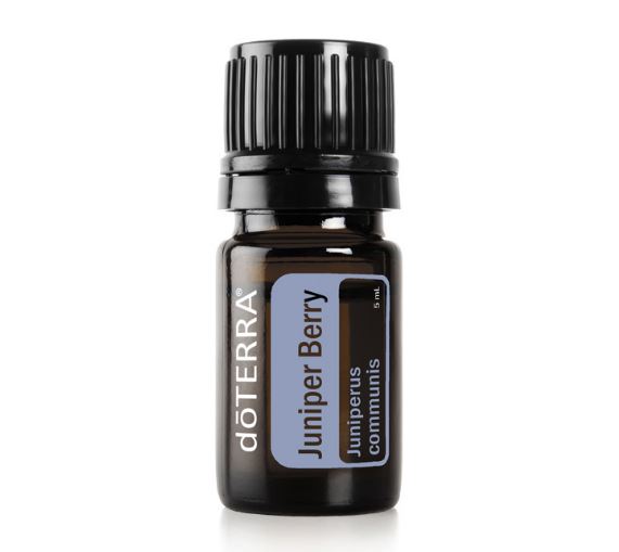 Juniper Berry Essential Oil