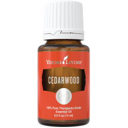 Cedarwood Essential Oil