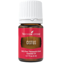 Cistus Essential Oil