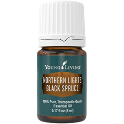 Northern Lights Black Spruce Essential Oil