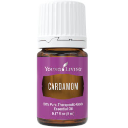 Cardamom Essential Oil