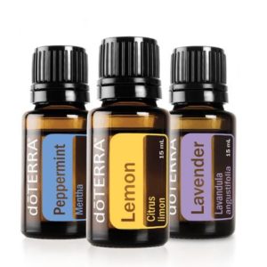 Beginner's Trio Kit
