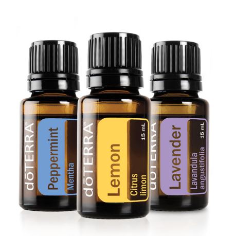 Beginner's Trio Kit